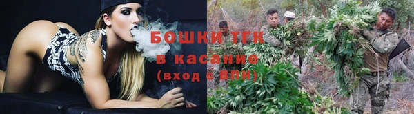амф Володарск