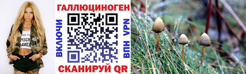Купить закладки  Среднеколымск  Галлюциногенные грибы ЛСД 